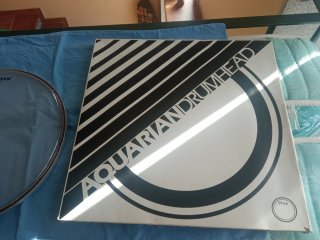 Parche Bordonero Aquarian Classic Clear 12