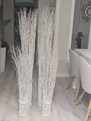 Plantas secas decorativas
