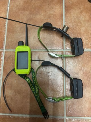Garmin Alpha 200i con 2 collares