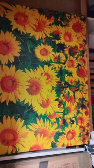 Cuadro girasoles decorativosolo 10euros