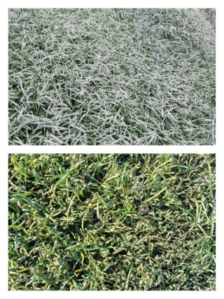 Césped artificial reciclado