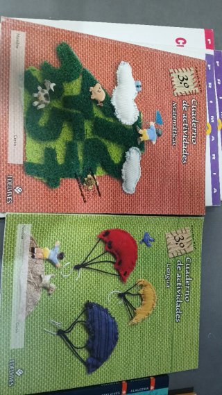 Lote de libros de texto