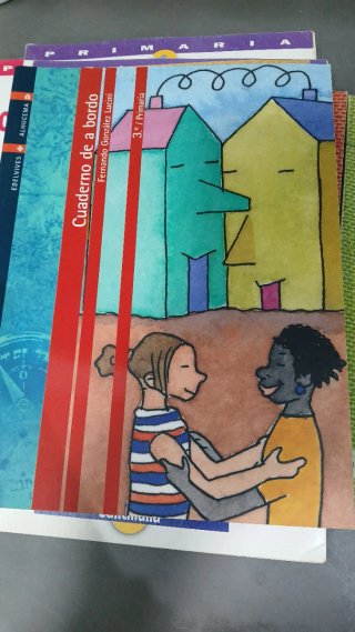 Lote de libros de texto