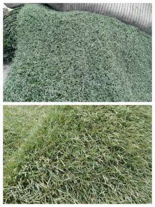 Césped artificial reciclado