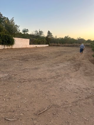 Alquiler/ venta Terreno rústico en Cheste
