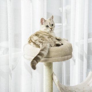 Árbol Rascador Juguete para Gatos con Diferentes Plataformas de Sisal Natural Altura 105Cm Crema