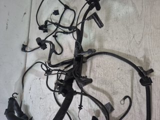Cableado Motor BMW E46 320d 150cv Automático