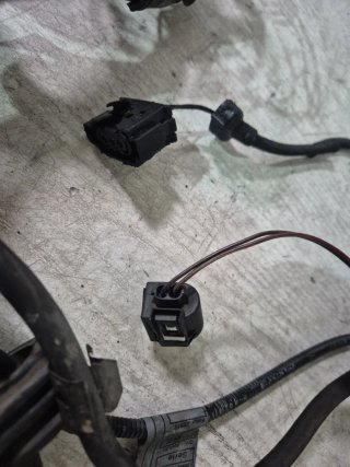 Cableado Motor BMW E46 320d 150cv Automático
