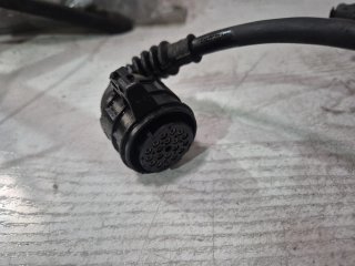 Cableado Motor BMW E46 320d 150cv Automático