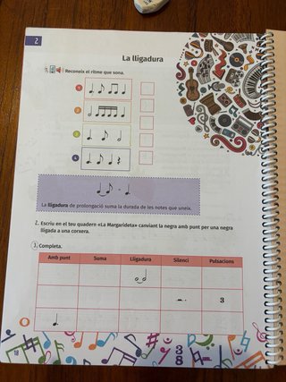 Musicant 5é Primària
