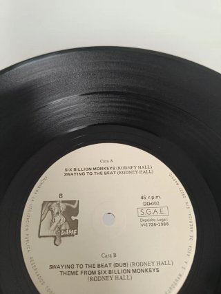 Vinilo Six Billion Monkeys