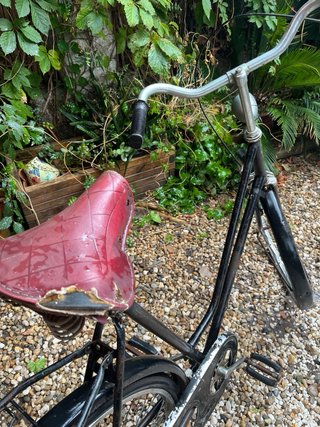 Bicicleta holandesa de paseo