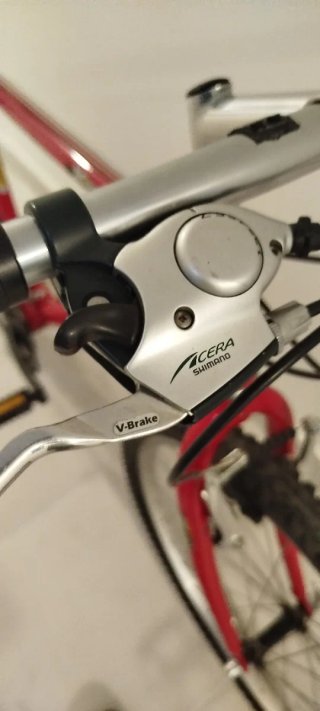 Bicicleta de montaña