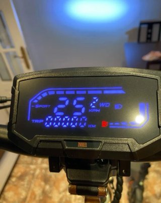 Patinete Eléctrico ZWHEEL Zwolf Duo