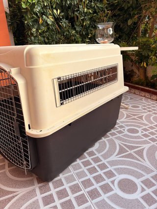 Transportín Petmate VariKennel Ultra
