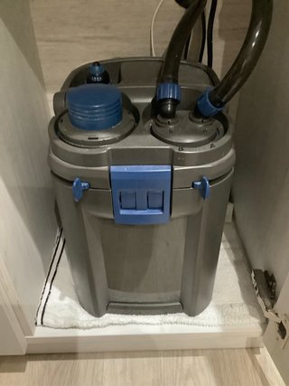 Acuario completo