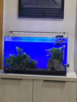 Acuario completo