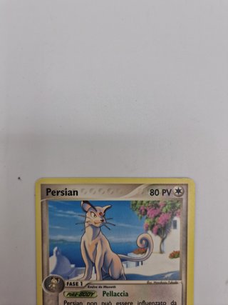 Persian Ex Rossofuoco Verdefoglia 2004