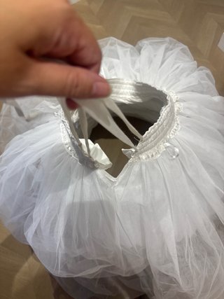 Cancan fallera La Llar del Fil.