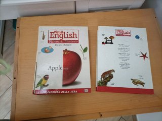 Dizionario illustrato inglese italiano inglese