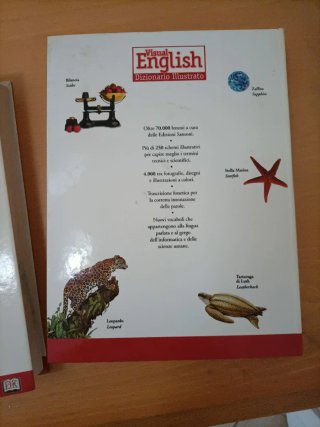 Dizionario illustrato inglese italiano inglese