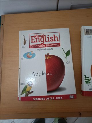 Dizionario illustrato inglese italiano inglese