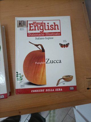 Dizionario illustrato inglese italiano inglese