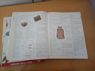 Dizionario illustrato inglese italiano inglese
