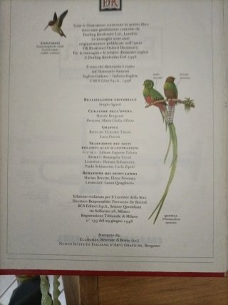 Dizionario illustrato inglese italiano inglese