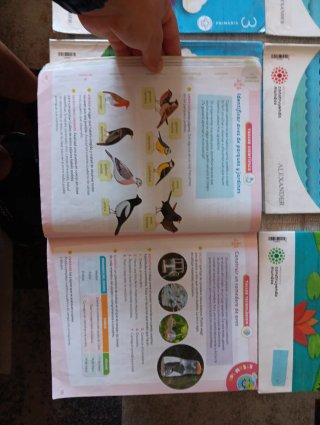 Libros 3 primaria santillana