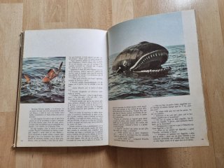 Las aventuras de Pinocho
