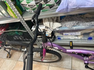 Bicicleta infantil morada
