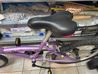Bicicleta infantil morada
