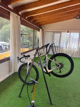 Megamo Pulse Elite
