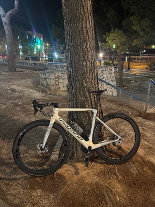 Megamo Pulse Elite
