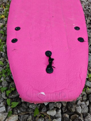 Tabla de surf soft indio