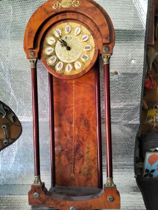 Reloj de pared Tempus Fugit