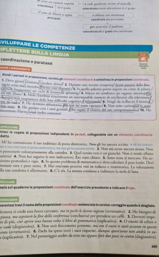 Italiano plurale. Grammatica e scrittura. Con I...