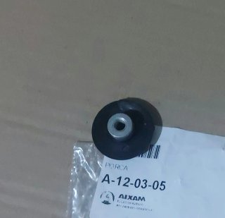Tuerca Portón Trasero Aixam Minauto 1997 - 2016