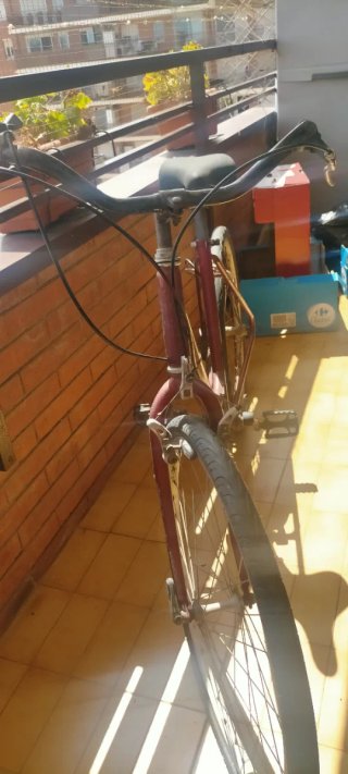 Bicicleta de paseo clásica