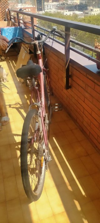 Bicicleta de paseo clásica