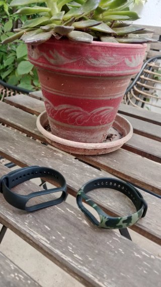 Correas y cargador Mi Band 6 Xiaomi