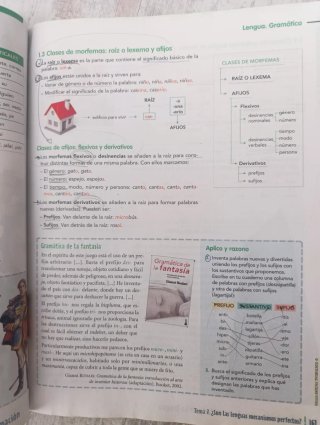 Lengua castellana y literatura