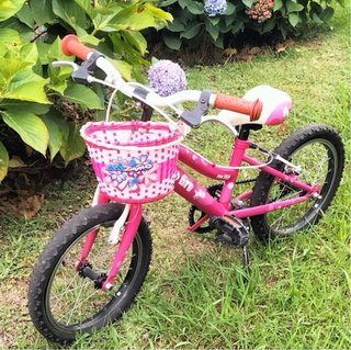 Bicicleta BTD infantil rosa con cesta