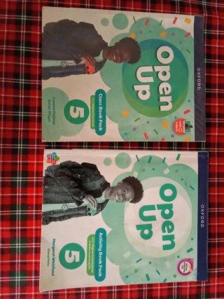 Libros de texto de quinto de Primaria. Inglés