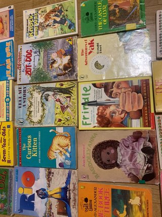Libros junior en ingles.