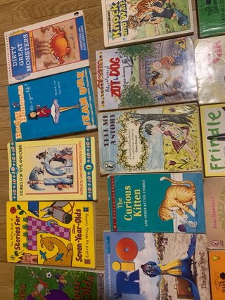 Libros junior en ingles.