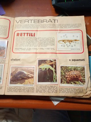 Album Il Mondo degli Animali Panini anno 1971