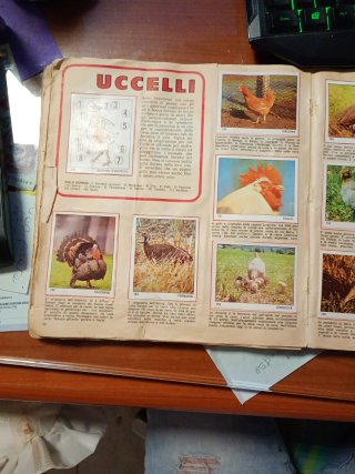 Album Il Mondo degli Animali Panini anno 1971