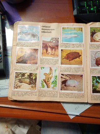 Album Il Mondo degli Animali Panini anno 1971
